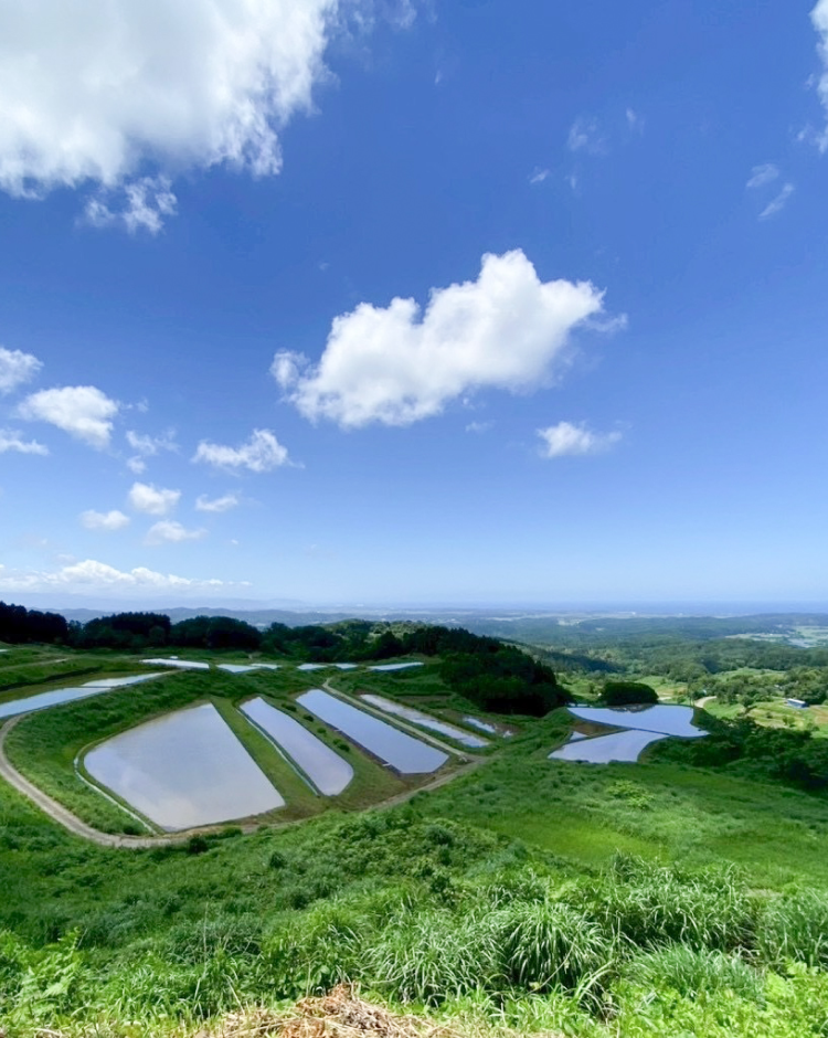 棚田と風鈴の風景